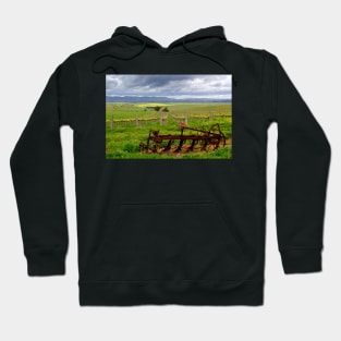 Springtime on the Vines Hoodie